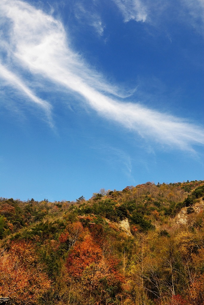 神龙川秋景<2> 摄影 西村野狼