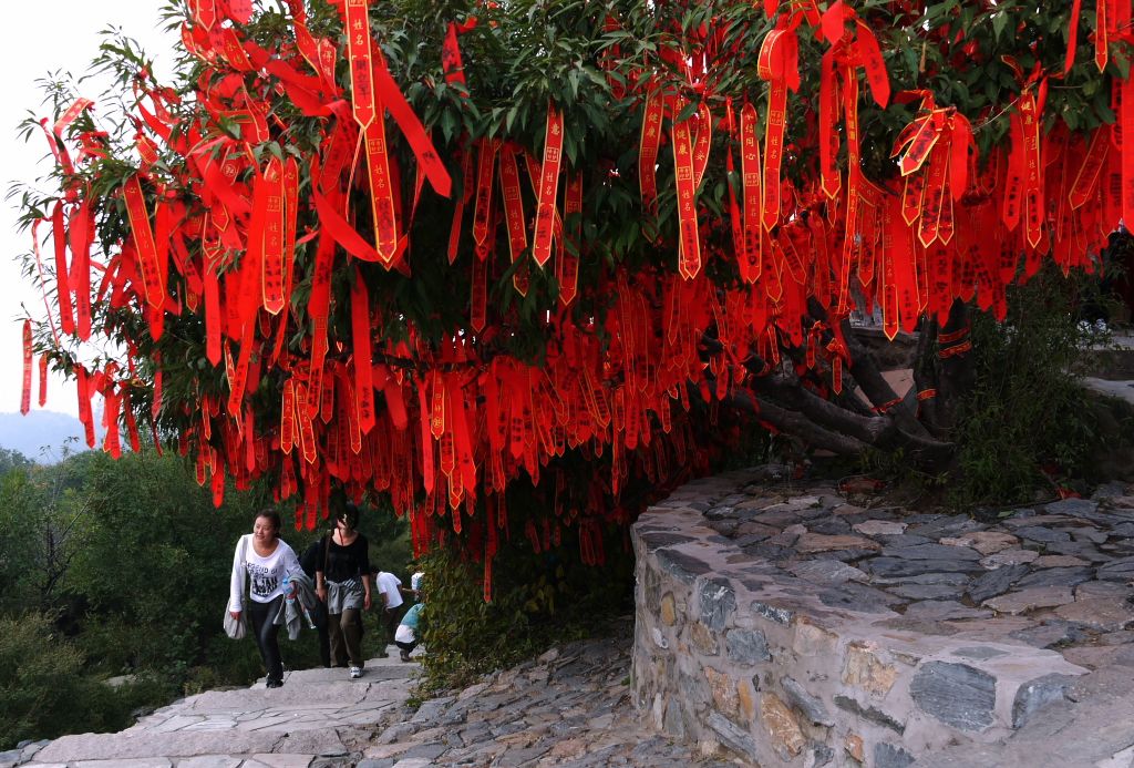 红运当头 摄影 细草穿沙