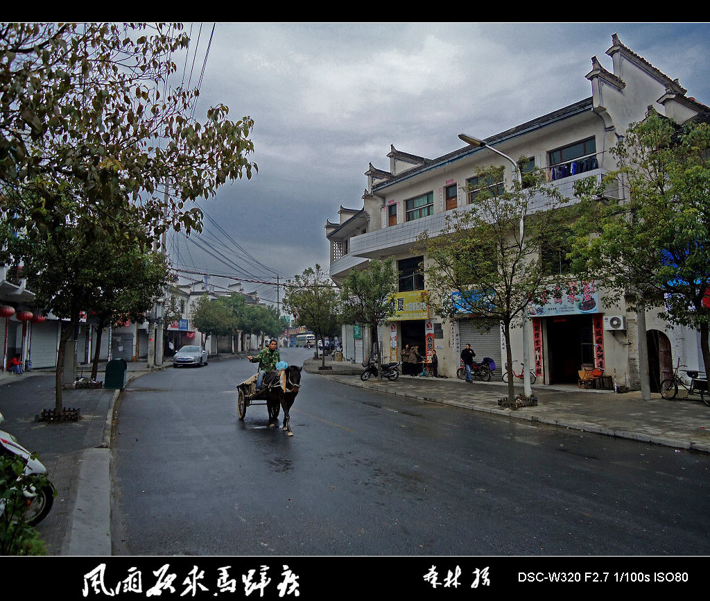 风雨欲来马蹄疾 摄影 金森林