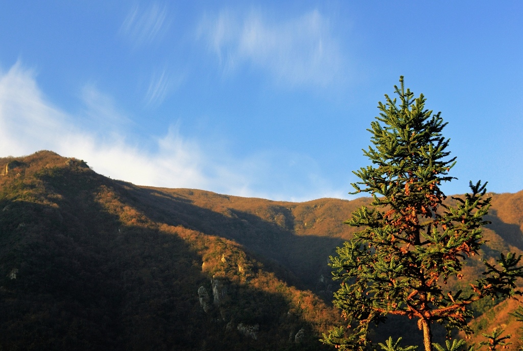 神龙川秋景<4> 摄影 西村野狼