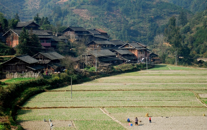 侗家田园 摄影 云山西河