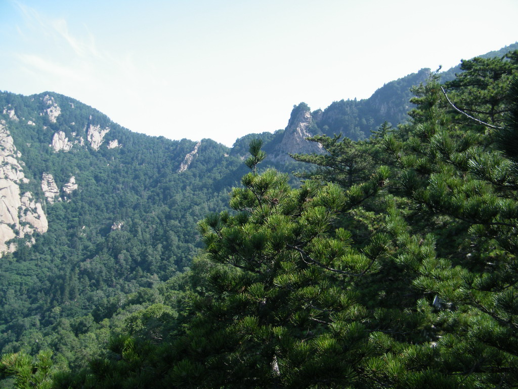 雾灵山23 摄影 刘陆陆