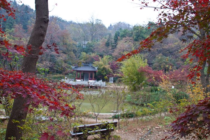 栖霞山 摄影 chenruoping