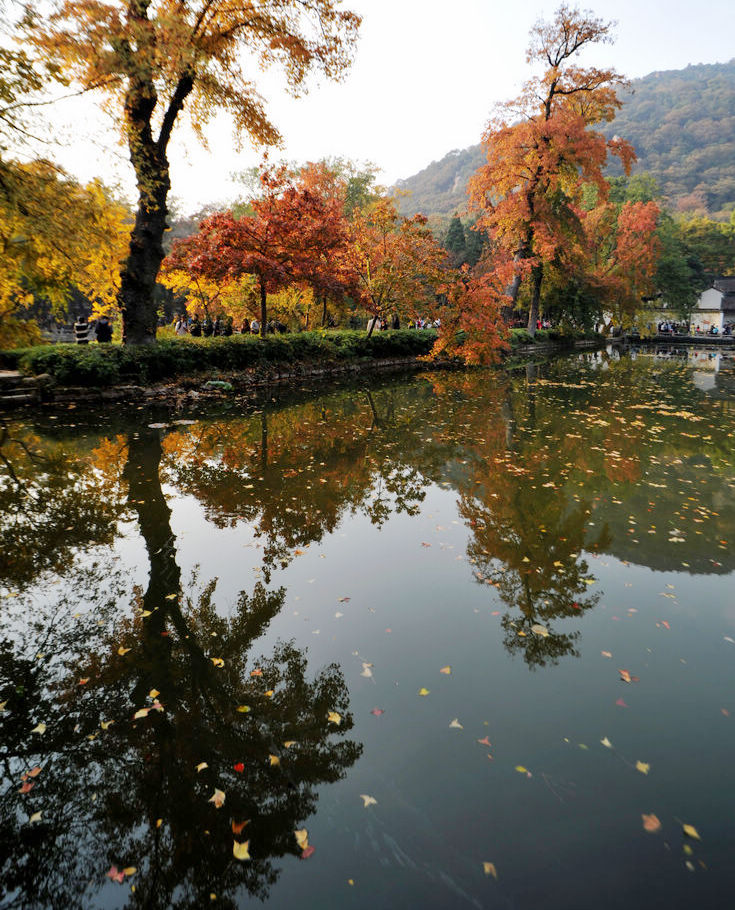 红枫 摄影 近山远水