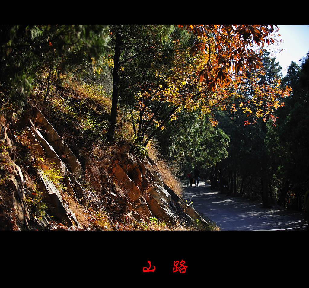 山路 摄影 善舍