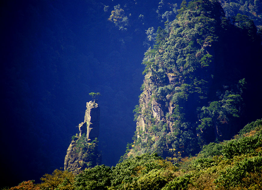 梵净山--X 摄影 生命如歌如虹