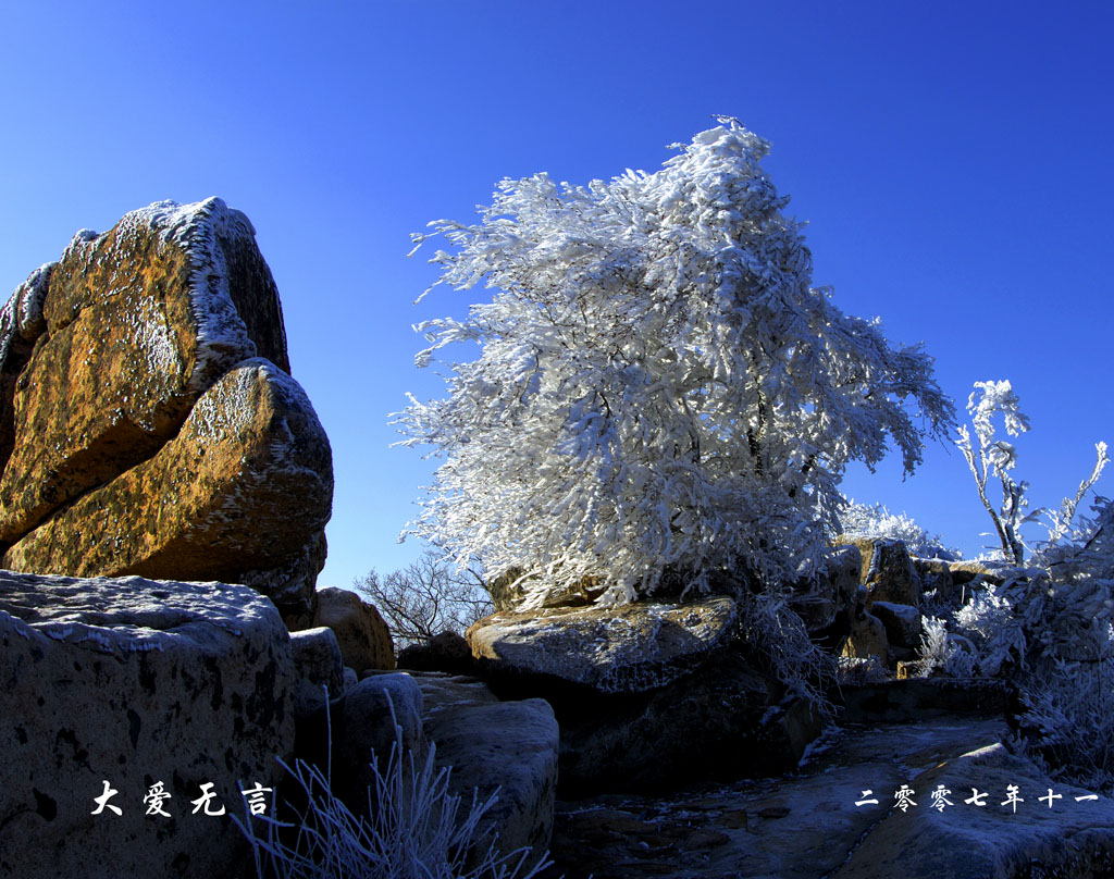 相约在冬季 摄影 老茶