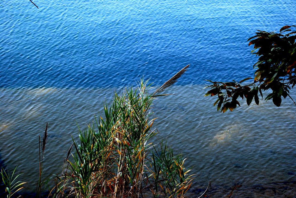 水边的阿狄丽娅... 摄影 彼岸的风景