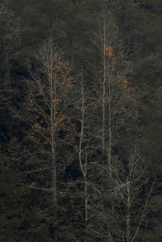 晚秋 摄影 烂柯山