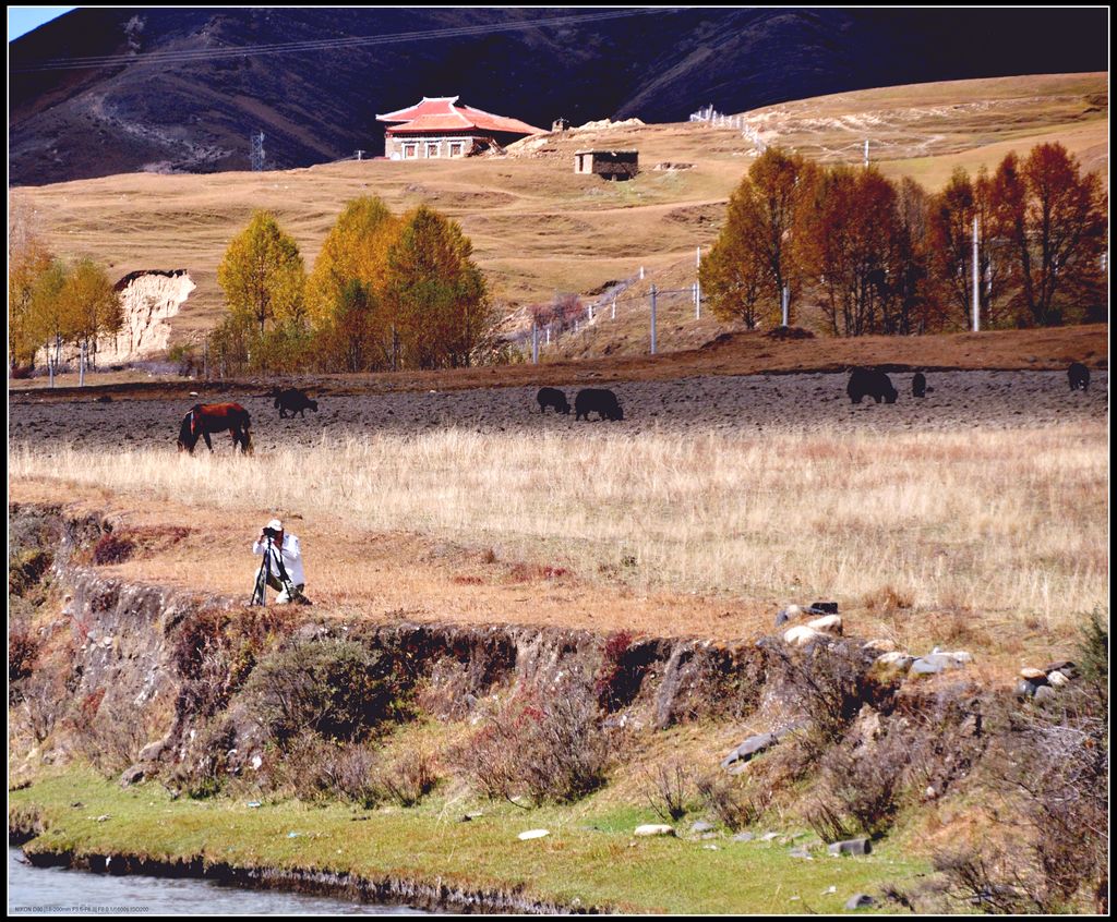 坝上看景 摄影 元康