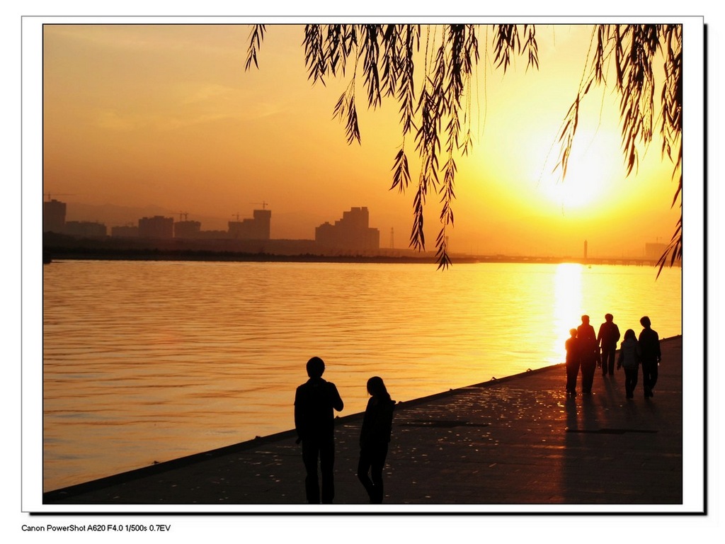 夕阳咸阳湖 摄影 曹林