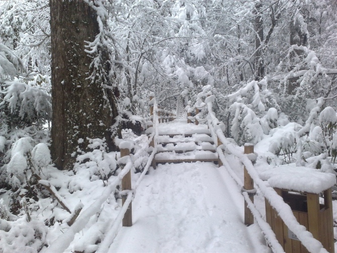 藏区雪景  路1 摄影 SL游遍china