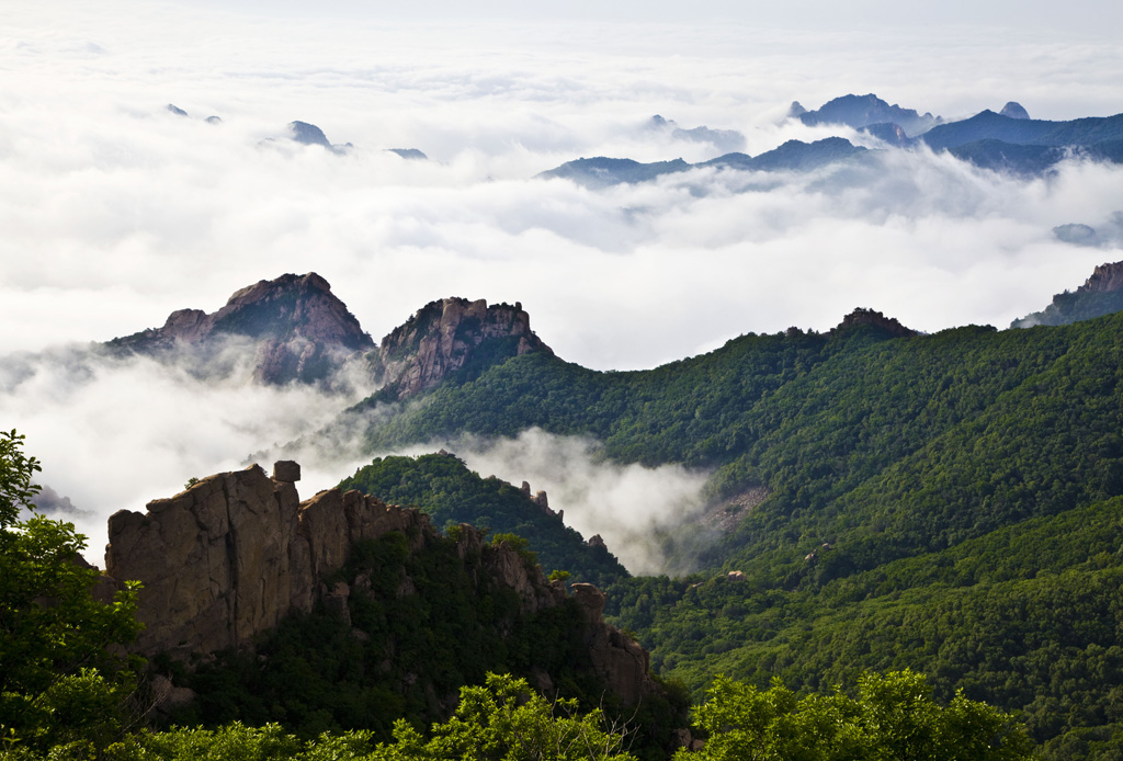 过雨青山草木新 摄影 湛思