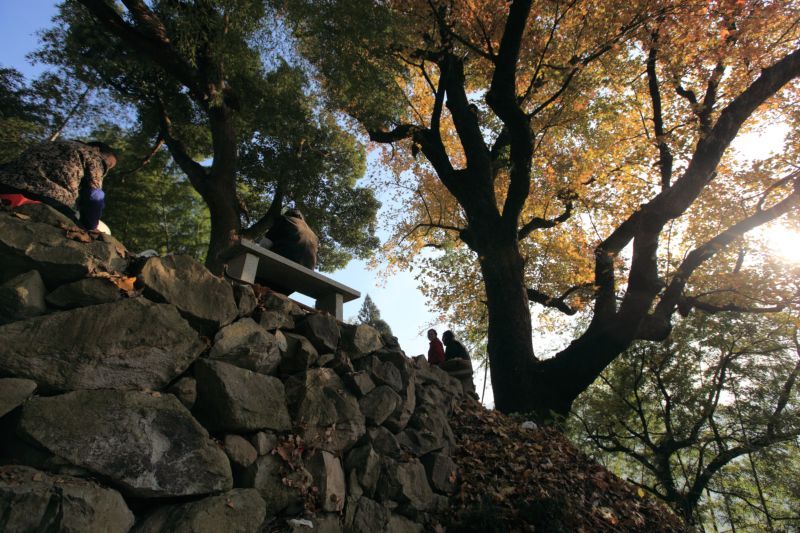 山村 摄影 chau