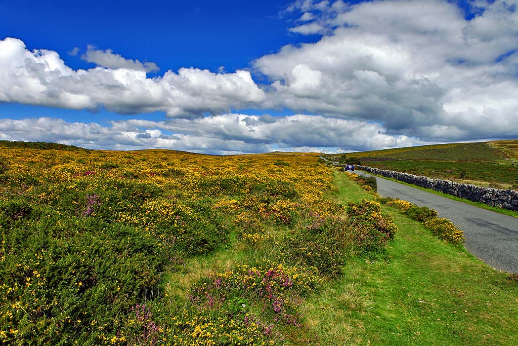 Dartmoor 国家公园1 摄影 澹泊镜远