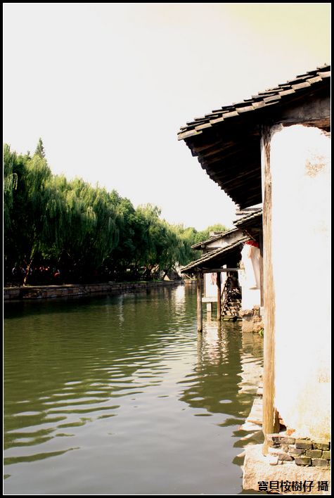 水鄉 摄影 心肝寶貝