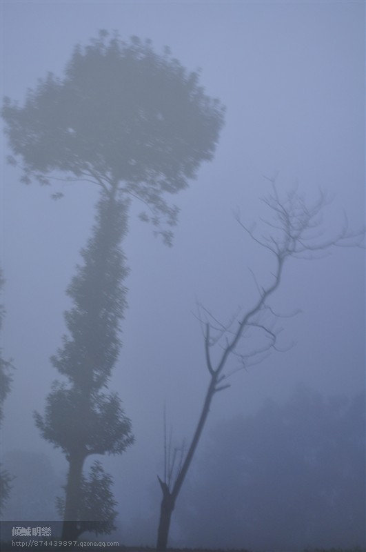 相伴 摄影 傾鯎眀戀