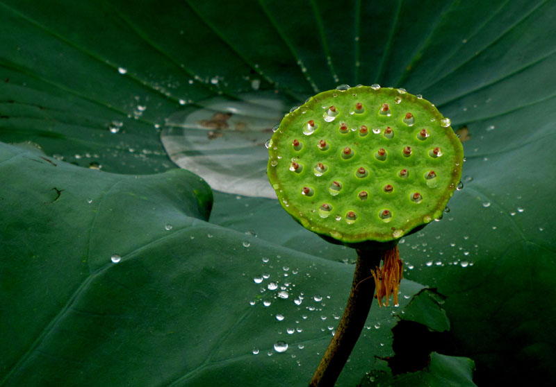 只愿为你守着约 摄影 菲子拾趣