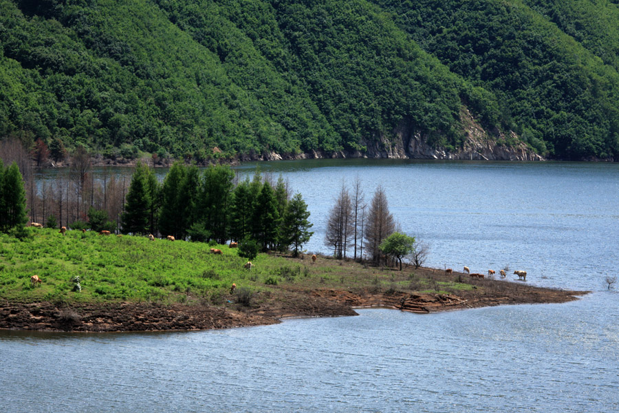 海兰湖牧场 摄影 猎手的视野