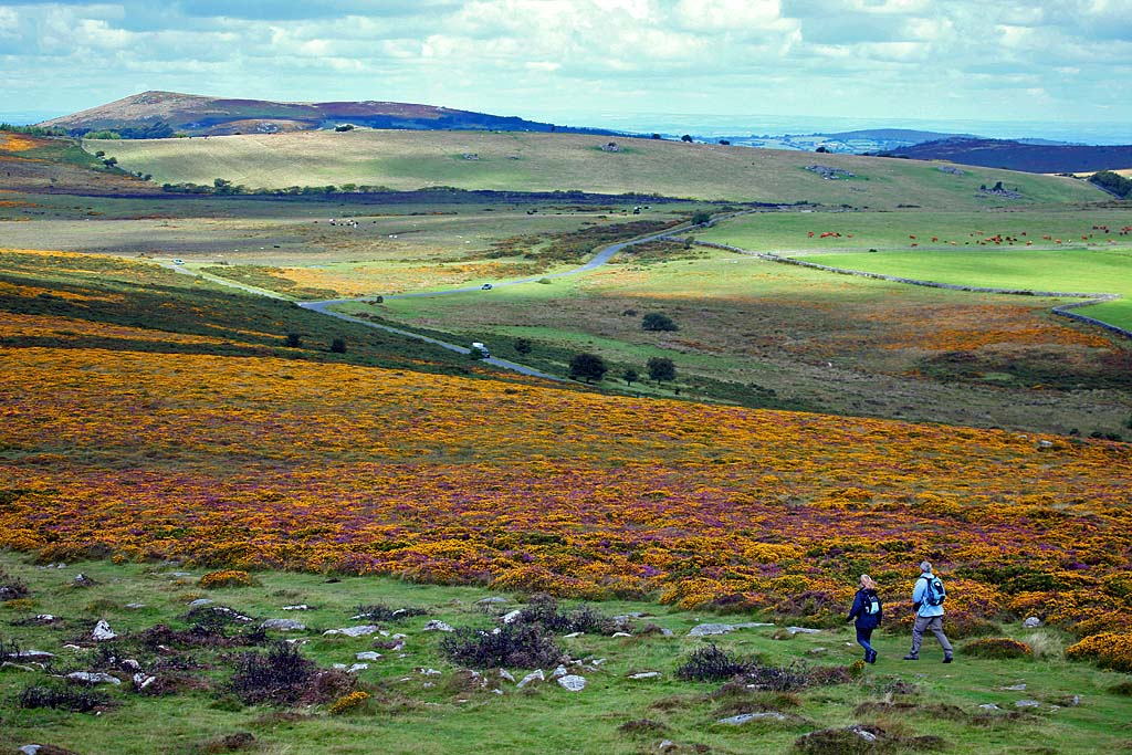 Dartmoor 国家公园8 摄影 澹泊镜远