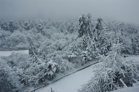 峨眉山雪 摄影 乐一天