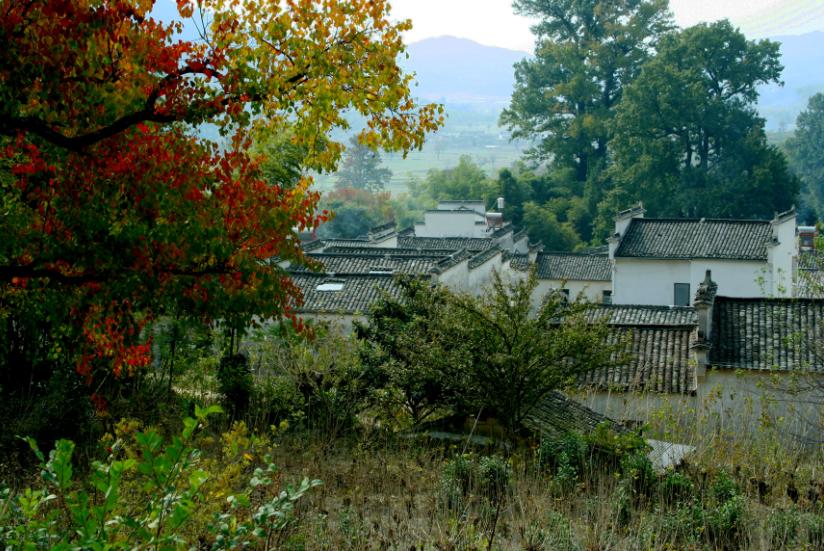 塔川秋色 摄影 金美纲