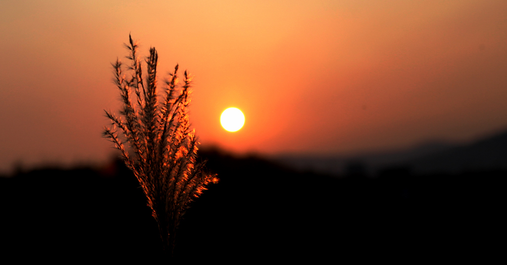 夕阳红 摄影 烧友1000度