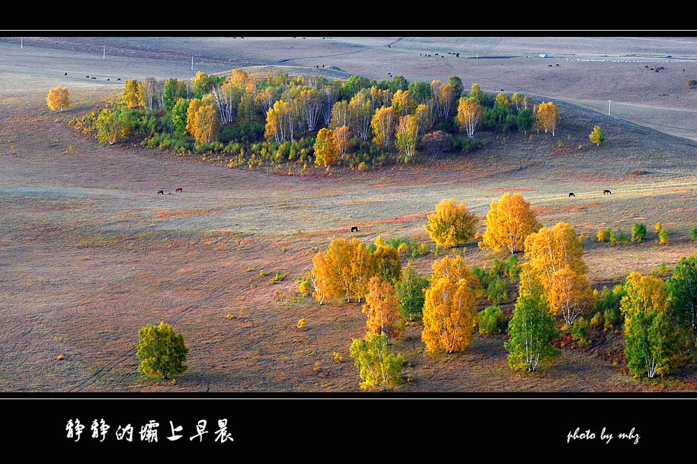 静静的早晨 摄影 都来评评