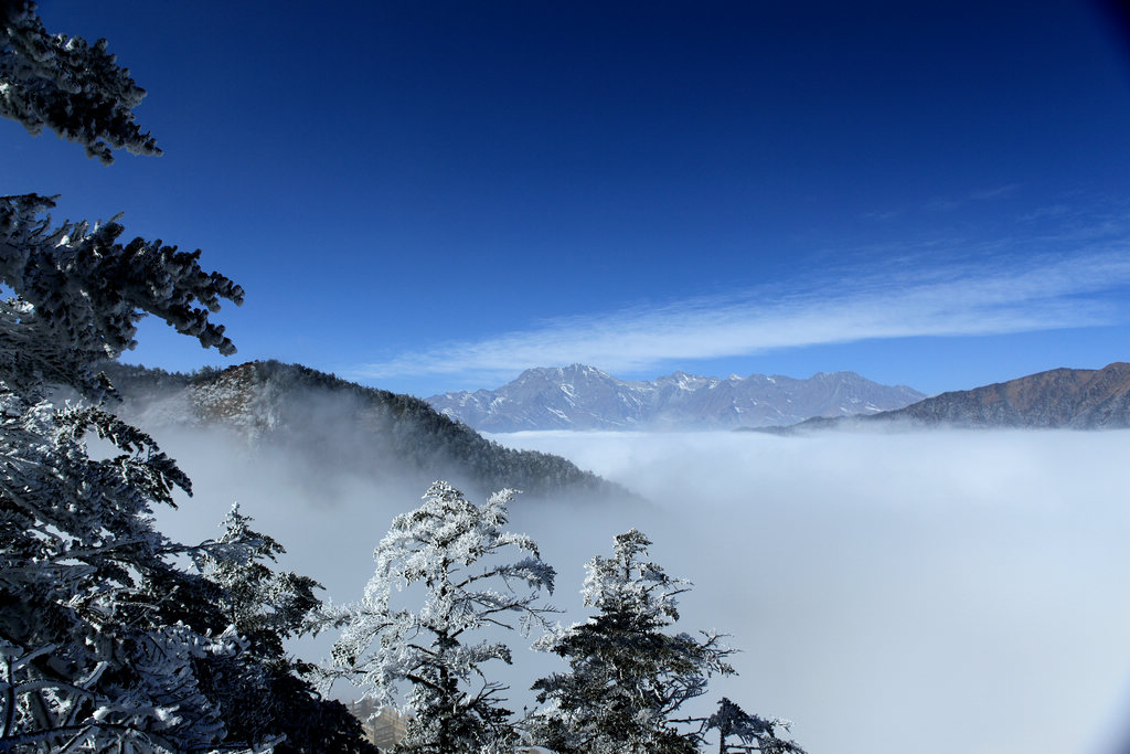 南国冰雪 摄影 乒乓鱼儿