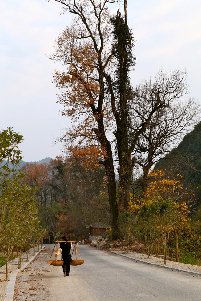 山村即景 摄影 xucheng