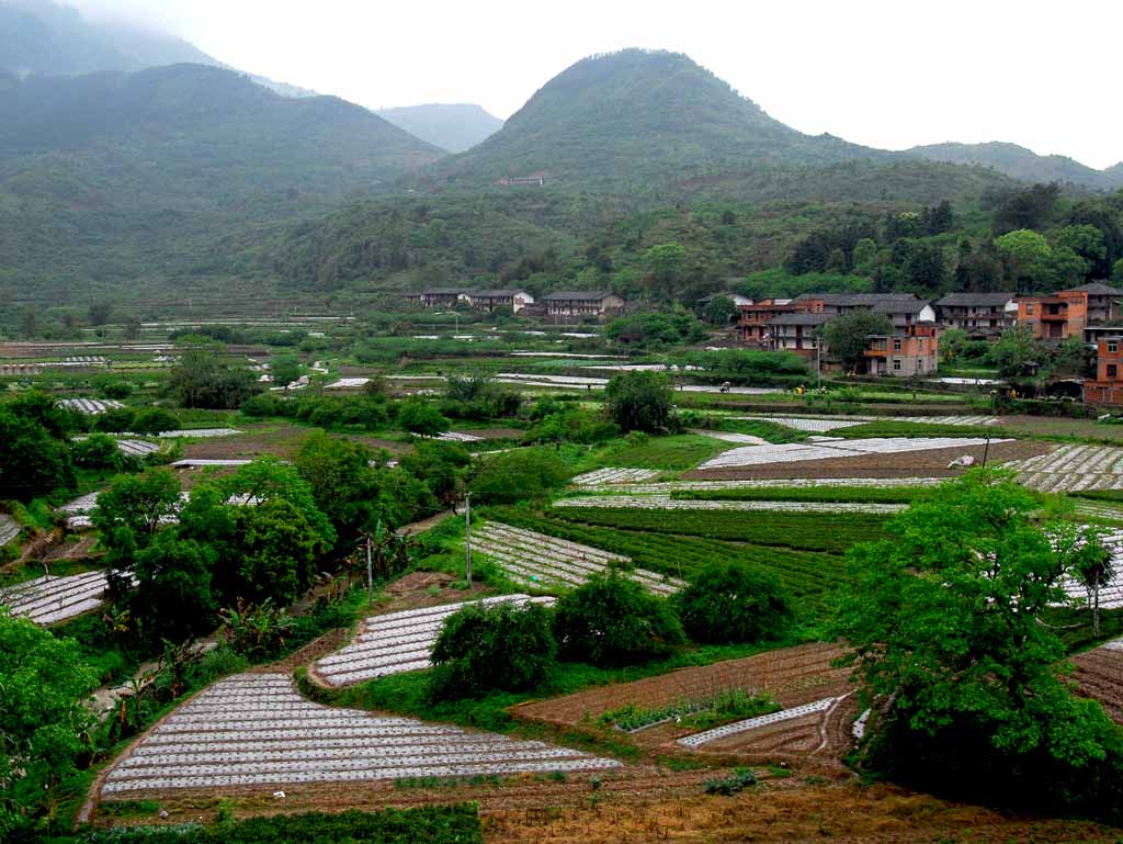 大地回春 摄影 永阳山水