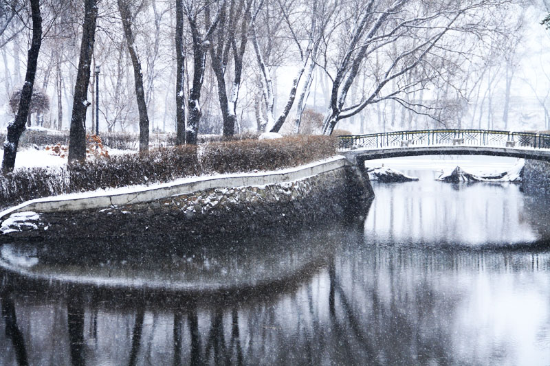 初雪 摄影 阿林虎头