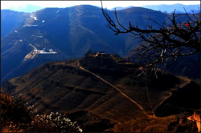 大山上的来客 摄影 白丑