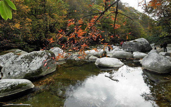 光雾山黑熊沟 摄影 neijie