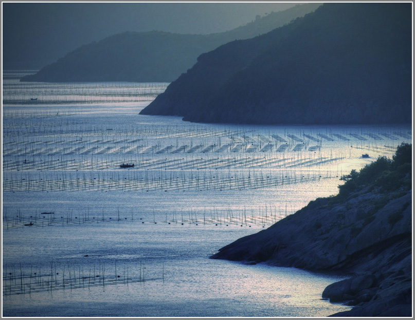 海边掠影 摄影 艺韵