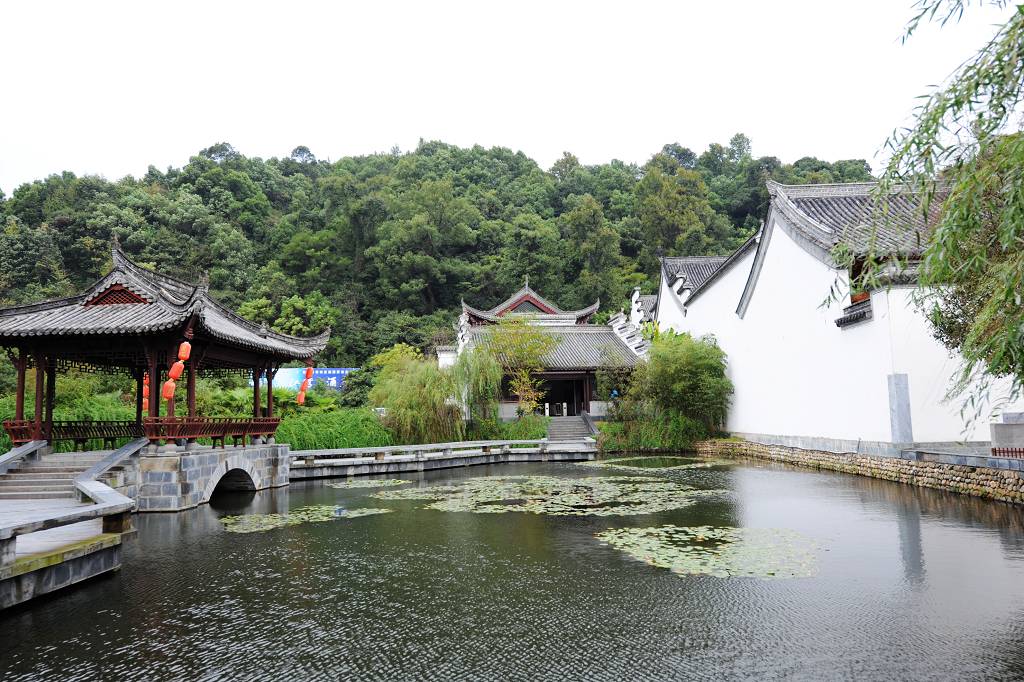 江湾景色2 摄影 秋叶雨荷