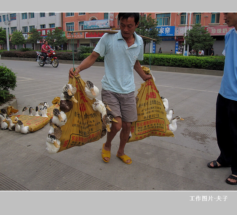 劳动人民的幽默 摄影 龚夫子