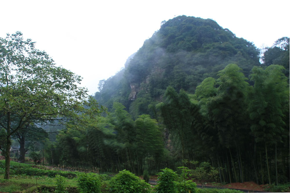 雾罩黄荆山 摄影 佬坎