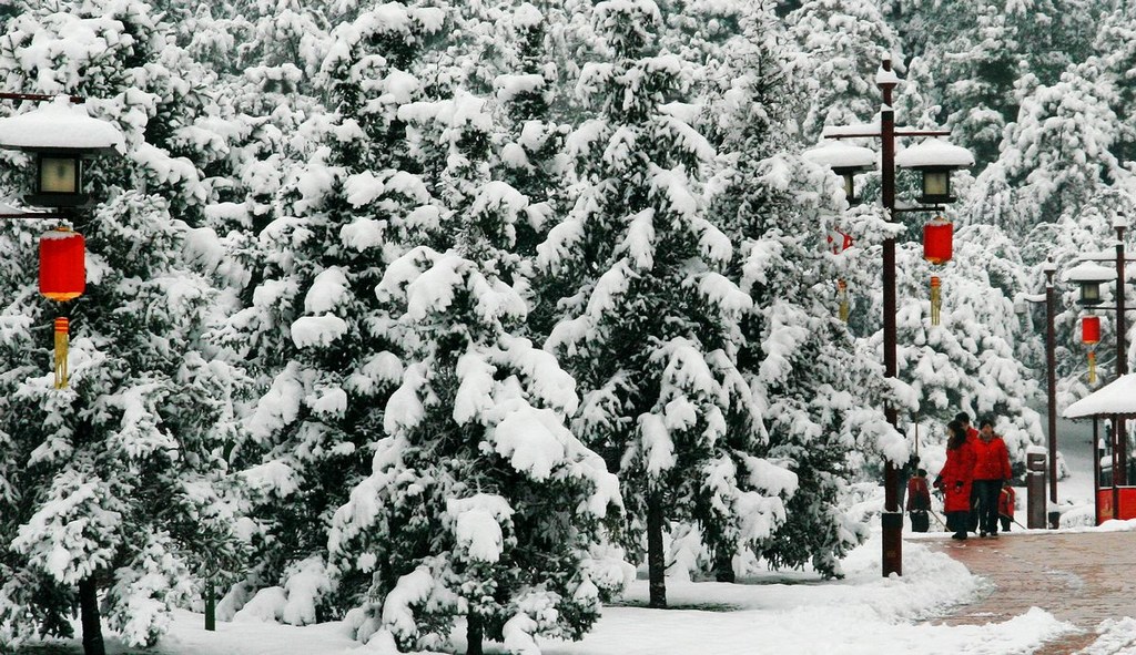 瑞雪 摄影 关中人