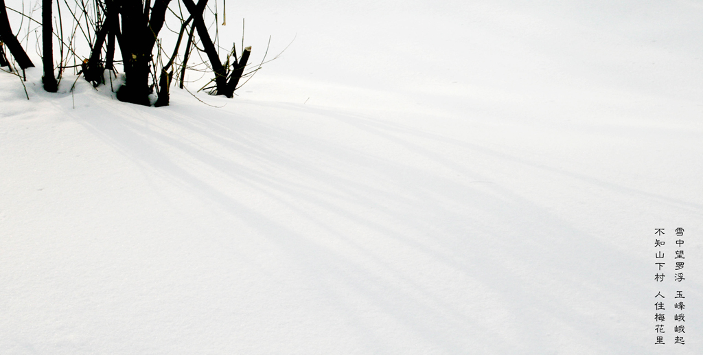 冬雪 摄影 动感平台