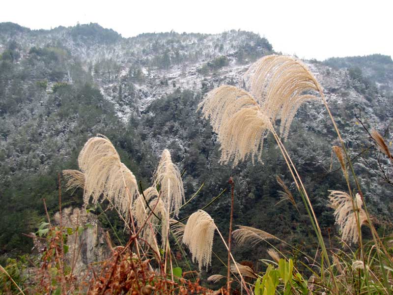 观雪 摄影 乡客