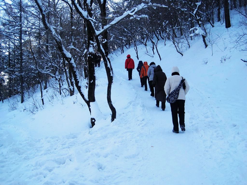 林海雪原小分队，战天斗地娘子军！ 摄影 深水无澜