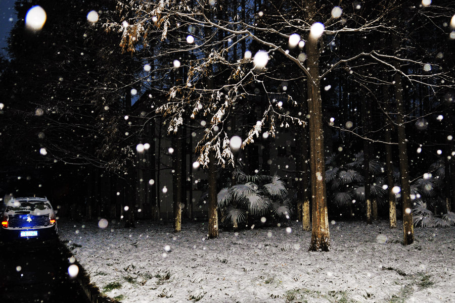 闪光灯下的圆雪花 摄影 老知青刘琪