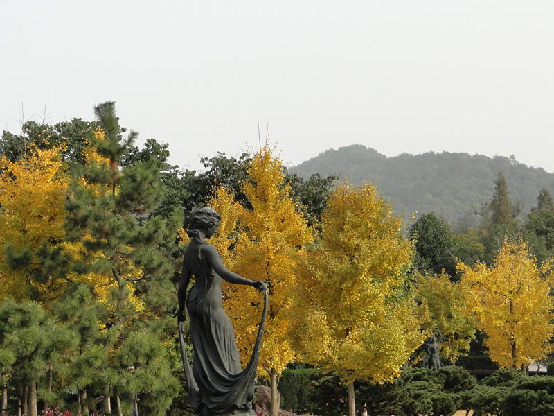 花圃秋色 摄影 怀能