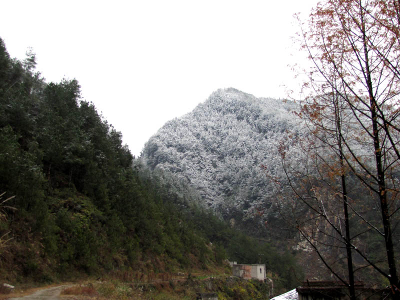 初雪 摄影 乡客