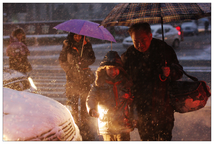 雪中归 摄影 武文ABC