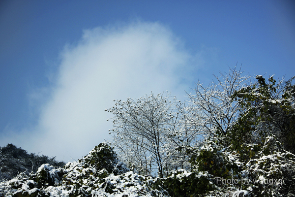 重庆雪景 摄影 feishihua