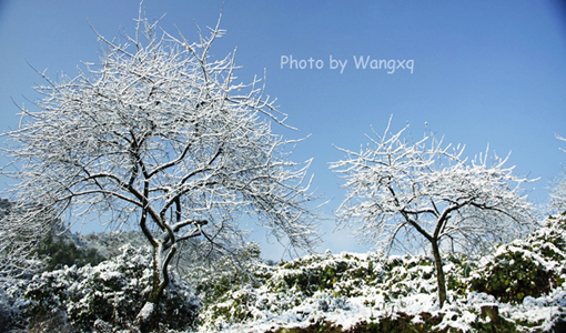 重庆雪景 摄影 feishihua