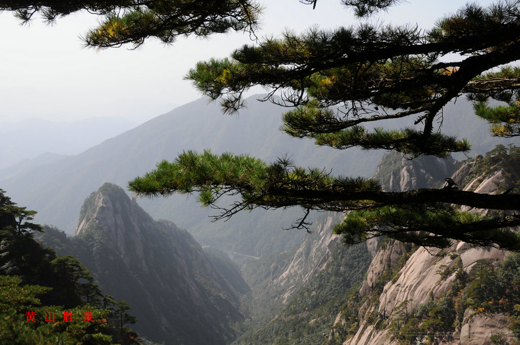 黄山胜景 摄影 简爱2008