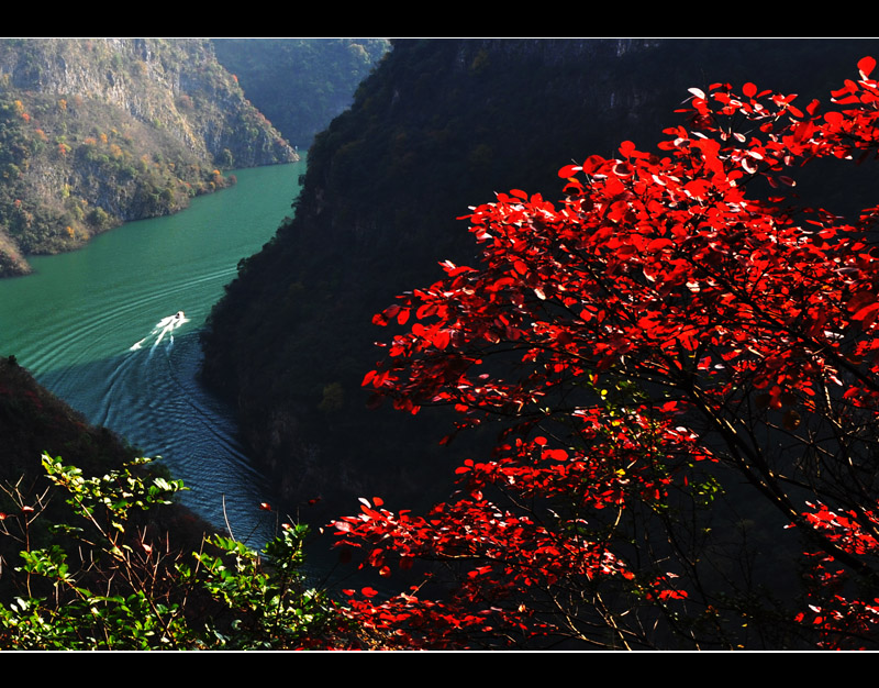 满山红叶时--小山峡 摄影 顺其华缘